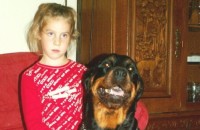 Rottweilery - różne zdjęcia
